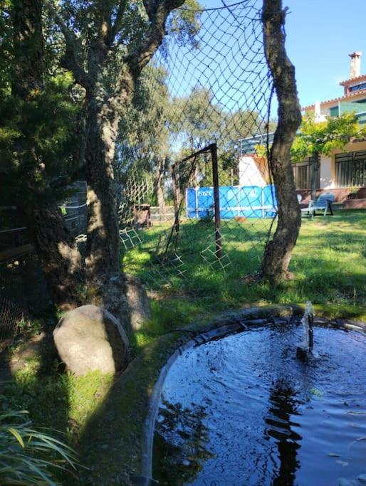 فيلا Casa De Camp Prop De La Costa Brava Romanyá de la Selva المظهر الخارجي الصورة